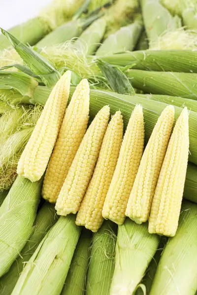 婴儿玉米的图像 玉米芯 高质量的玉米图像 — 图库照片
