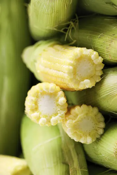 赤ちゃんのトウモロコシ トウモロコシのコブ トウモロコシの高品質の画像 — ストック写真