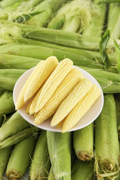 婴儿玉米的图像 玉米芯 高质量的玉米图像 — 图库照片