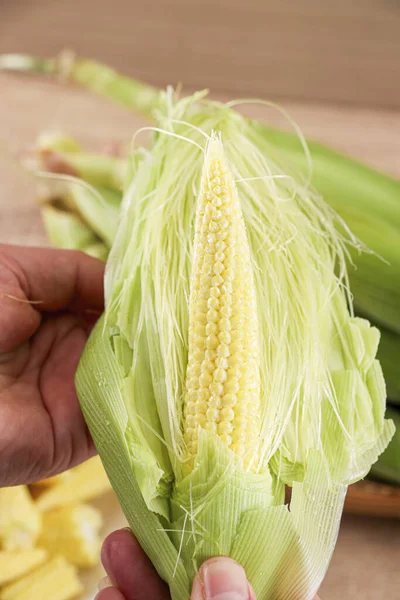 Изображения Кукуруза Кукуруза Кукуруза Высокого Качества — стоковое фото