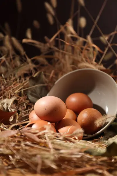 Schattige Eieren Grappige Eieren Genomen Studio Hoge Kwaliteit Beelden — Stockfoto