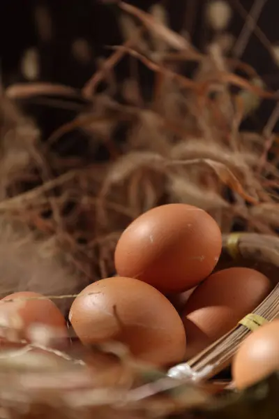 Ovos Adoráveis Ovos Engraçados Tirados Estúdio Imagens Alta Qualidade — Fotografia de Stock