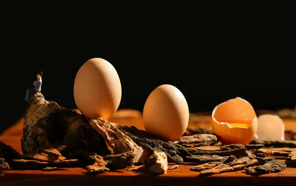 Telur Manis Telur Lucu Diambil Studio Gambar Berkualitas Tinggi — Stok Foto