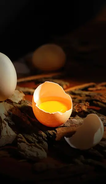 Huevos Adorables Huevos Divertidos Tomados Estudio Imágenes Alta Calidad — Foto de Stock