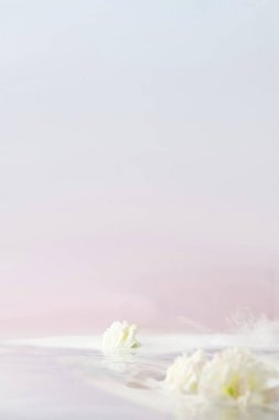 Ürün sunumu arka planlar, ürün çekimleri için arka plan, ürün reklamları.