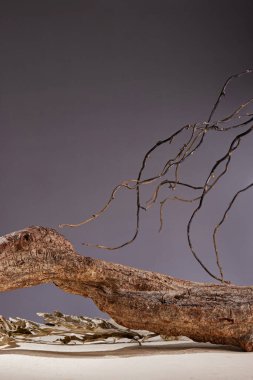 Yüksek kaliteli ürün sergisi arka planları, Temiz ürün sunum arkaplanları, kusursuz ürün arkaplanı, ürün fon fikirleri...