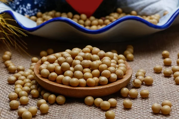 Beautiful Images Soybeans Images Soybeans High Quality Images — Stock Photo, Image