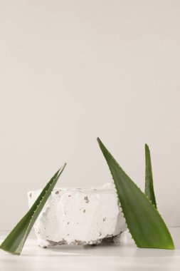 Ürün sergisi arka planlar, ürün çekimi arka planlar, ürün tanıtımı arka planlar.