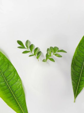 Ürün arkaplan tasarımları, ürün sergisi arka planı, ürün fotoğrafçılığı kurulum arkaplanları, yüksek kaliteli ürün ekran arkaplanları.