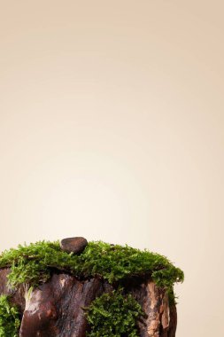 Profesyonel ürün görüntüleme geçmişi, temiz ürün fotoğrafçılık geçmişi, yüksek kaliteli ürün fotoğrafı geçmişi.