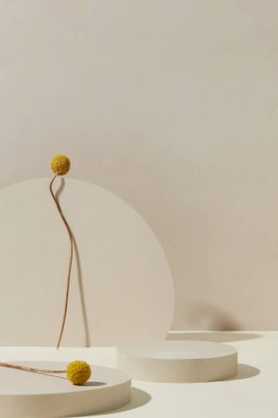 Ürün markalaştırma arkaplanı, ticari ürün fotoğrafçılık arkaplanı, ürün fotoğrafçılığı için stüdyo arka planı