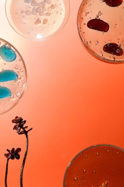 Ürün sergisi arka planları, ürün fotoğrafları için stüdyo arkaplanı, ürün sergisi arkaplanları, sergi arka planları.