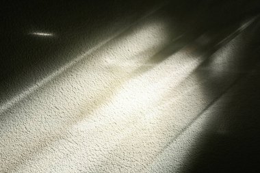 Ürün kolajları için güzel arka planlar, ürün gösterimi için doğa arka planı, hi res resimler