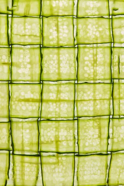 İnce dilimlenmiş salatalığın soyut şebeke deseni, arka plan olarak salatalık dilimleri. Makro.
