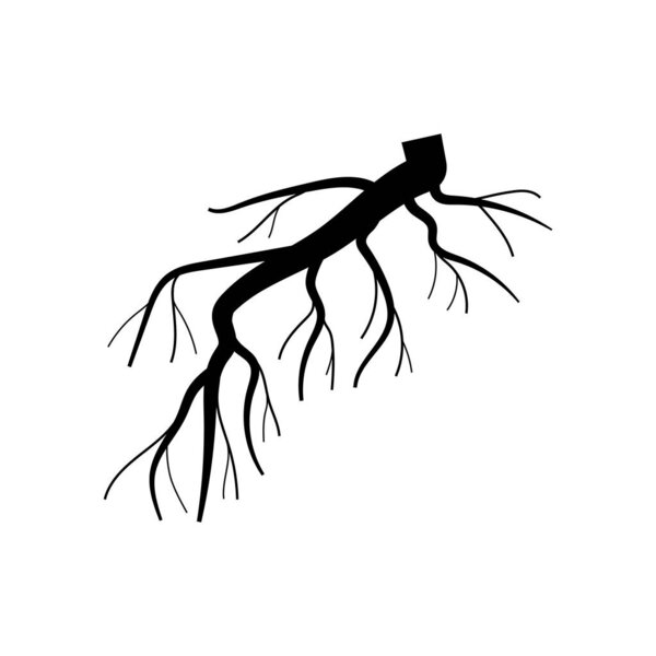 anchor tree root cartoon. stability absorption, nutrients system, underground network anchor tree root sign. isolated symbol vector illustration