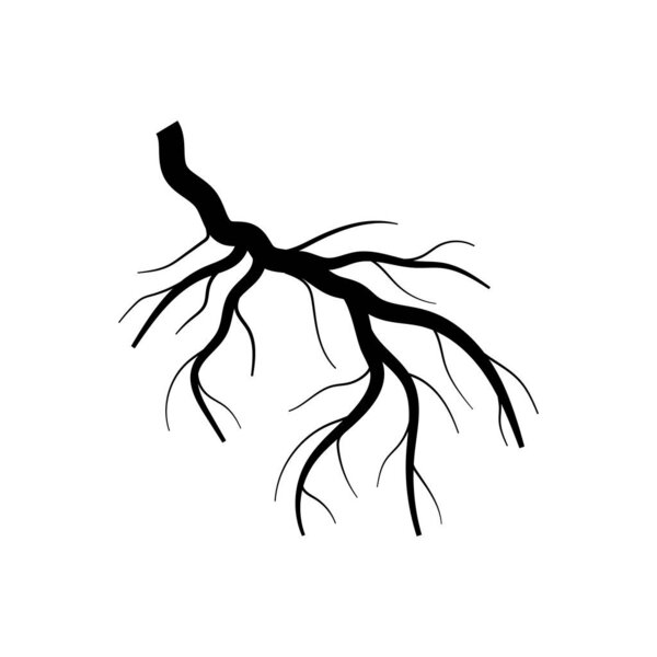 nutrients tree root cartoon. system underground, network structure, foundation soil nutrients tree root sign. isolated symbol vector illustration