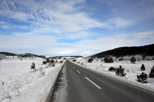 stock image snowy landscapes and details in the nature park