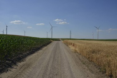Yenilenebilir enerji kaynağı, tahıl ve mısır tarlasında rüzgar parkı