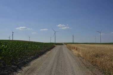 Yenilenebilir enerji kaynağı, tahıl ve mısır tarlasında rüzgar parkı