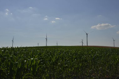 Yenilenebilir enerji kaynağı, tahıl ve mısır tarlasında rüzgar parkı
