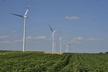 Yenilenebilir enerji kaynağı, tahıl ve mısır tarlasında rüzgar parkı