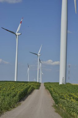Yenilenebilir enerji kaynağı, tahıl ve mısır tarlasında rüzgar parkı