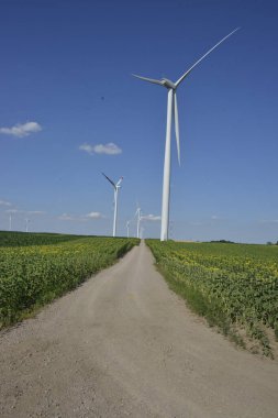 Yenilenebilir enerji kaynağı, tahıl ve mısır tarlasında rüzgar parkı