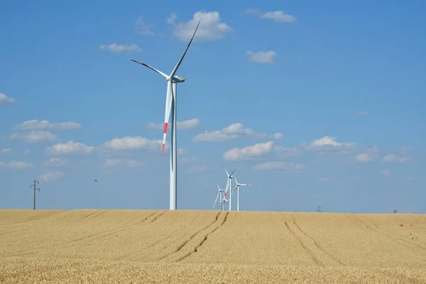 renewable energy source, wind park in the field of grain and corn