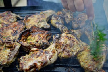 balık hazırlama, kızartma, pişirme ve pişirme balık spesiyalleri, balık yemi, ızgara balık
