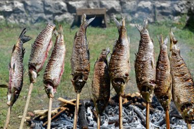 Balık hazırlama, kızartma, pişirme ve pişirme balık spesiyalleri, balık yemi