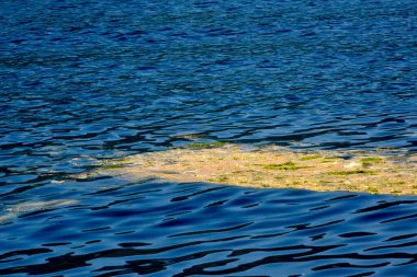 Yüzen zehirli yağ atığı, petrol ve alglerle deniz suyu çevresel kirliliği
