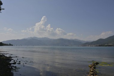 Yüzen zehirli yağ atığı, petrol ve alglerle deniz suyu çevresel kirliliği