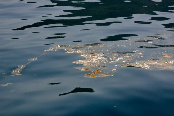environmental pollution of sea water with floating toxic oil waste, oil and algae