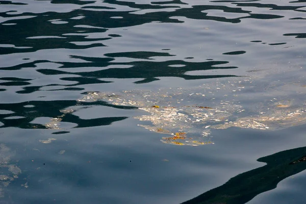 environmental pollution of sea water with floating toxic oil waste, oil and algae