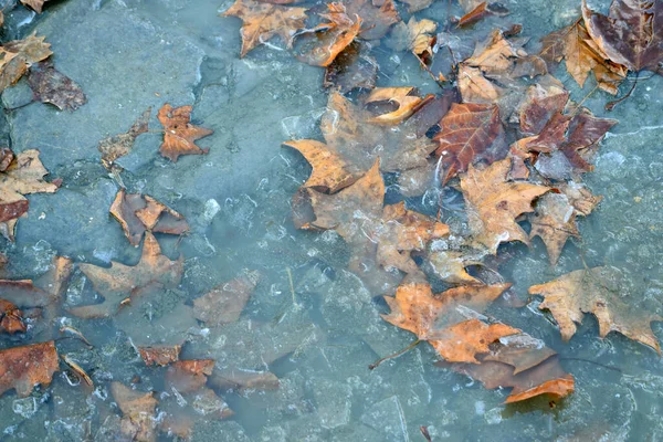 Donmuş nehir, Tuna Nehri 'ndeki buz ve donmuş tekneler.