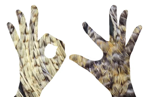 Κόκκορας Και Όρνιθα Φτιαγμένα Χέρια Και Καλυμμένα Αληθινά Φτερά Κότας — Φωτογραφία Αρχείου