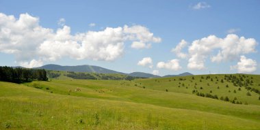 Kopaonik dağından motifler