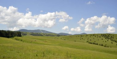 Kopaonik dağından motifler