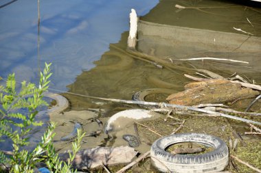 Nehirde eski araba lastikleri