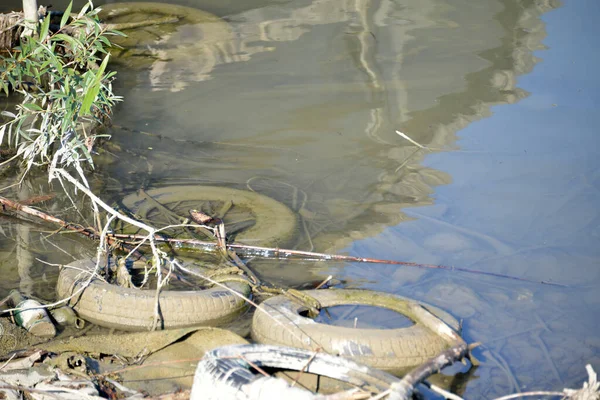 stock image Old car tires in the river