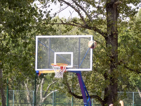 Basketbol Sahasının Arka Tahtası — Stok fotoğraf