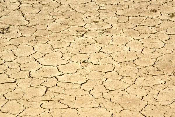 Dry Cracked Earth Background — Stock Photo, Image