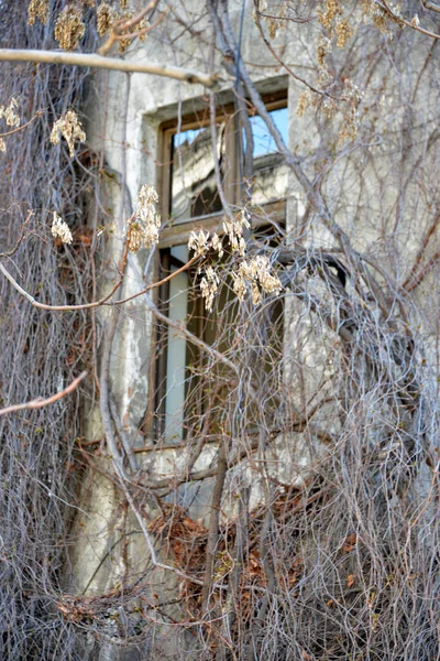 老房子的窗口 — 图库照片