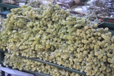 Bitkisel ilaçlar - Markette Sideritas scardica bitkileri