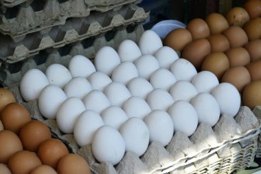 Yumurtalar karton ambalajda güvenle paketlenir