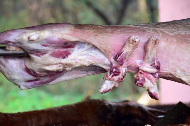 Barbeküde kuzu eti ayrıntıları