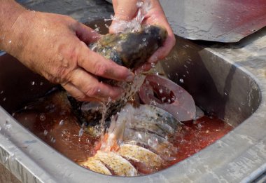 Balığı pişirmek - yıkamak, kesmek, sakatat çıkarmak