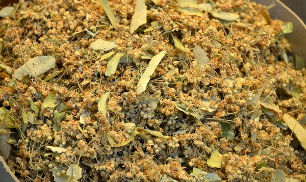 Różne Suszone Rośliny Tradycyjnej Tureckiej Herbaty Ziołowej — Zdjęcie stockowe
