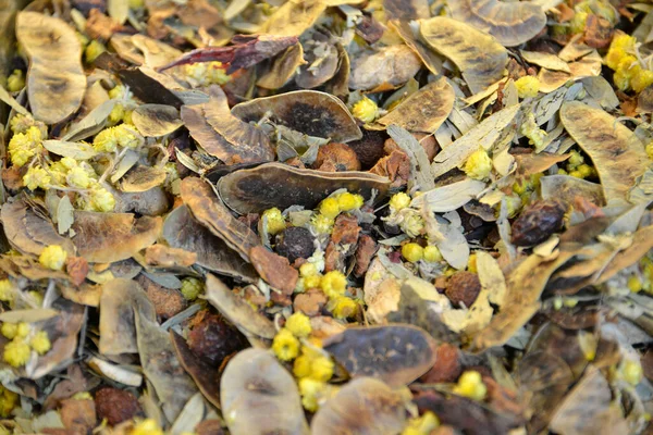 土耳其传统草茶用各种干植物 — 图库照片