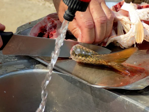 Klaarmaken Van Vis Voor Het Koken Wassen Snijden Slachtafvallen Verwijderen — Stockfoto